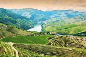 Vinhos Leves, Light Wines, Full Body Wines, Vinhos Encorpados - Douro