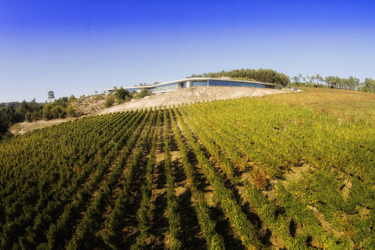 Vinhos Portugueses, Touriga Nacional, Encruzado, Carlos Raposo