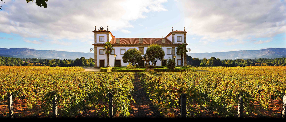 Loja de vinhos, Vinhos Leves, Loureiro