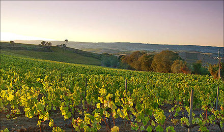 Vinhos de Lisboa