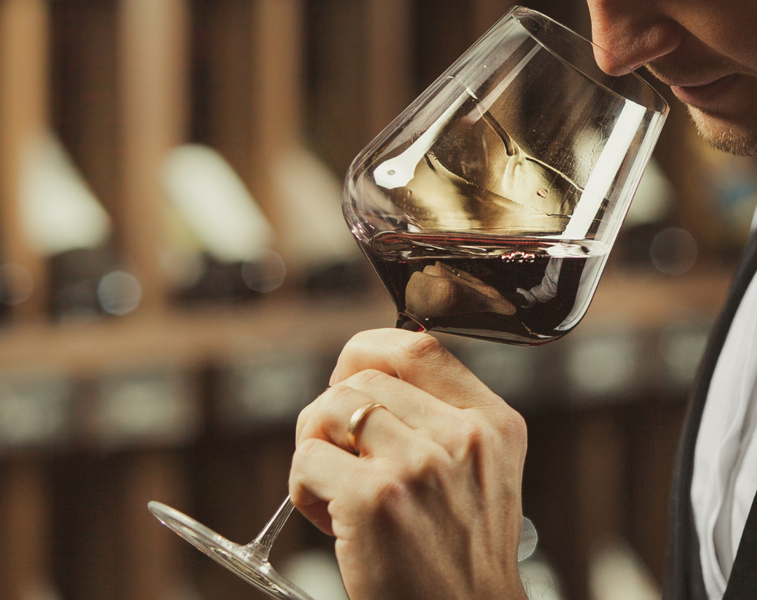 Wine-Club-Clube-Vinhos-Curated-Journey-